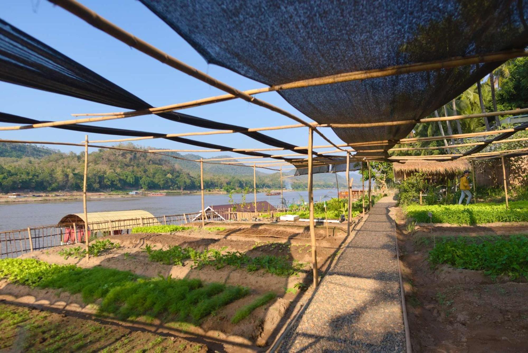 The Belle Rive Boutique Hotel Luang Prabang Esterno foto